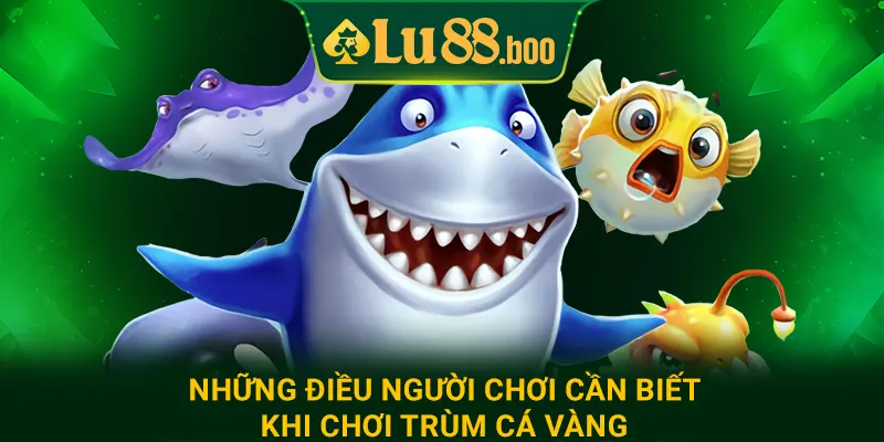 Những điều người chơi cần biết khi chơi trùm cá vàng