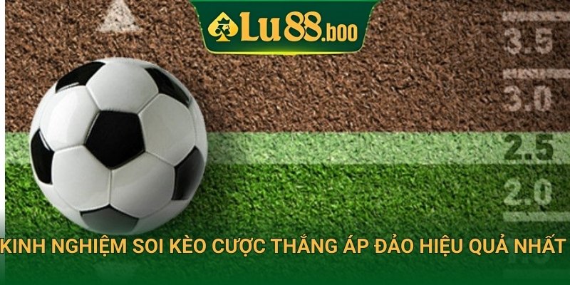 Kinh nghiệm soi kèo cược thắng áp đảo hiệu quả nhất